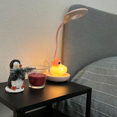 Appartement Au Coeur Strasbourg Ngoại thất bức ảnh