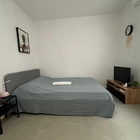 Appartement Au Coeur Strasbourg Ngoại thất bức ảnh